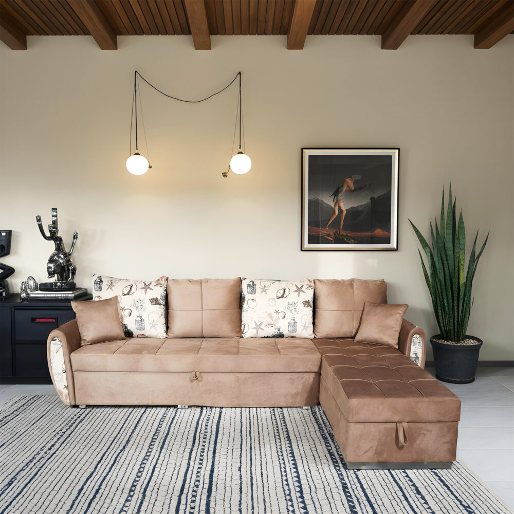 Sofa Cum Bed IMPS (3+L)